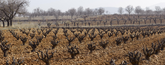 La Mancha