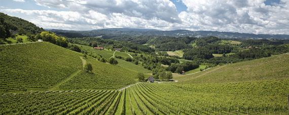 Steiermark