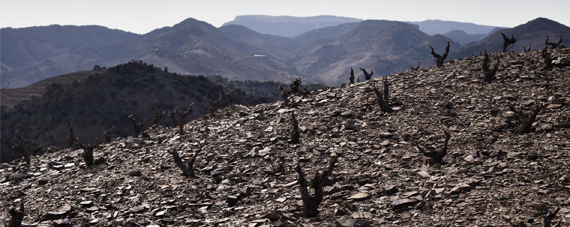 Priorat