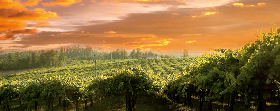 Rias Baixas