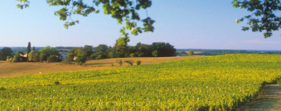 Gascogne