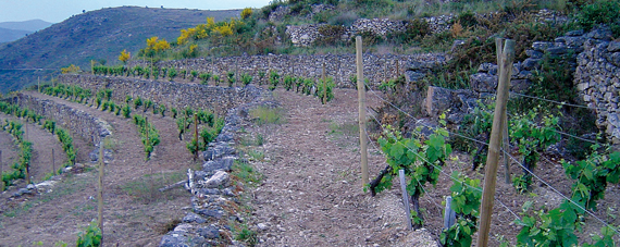 Valdeorras