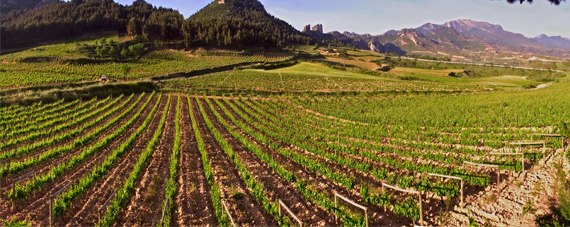 Rioja