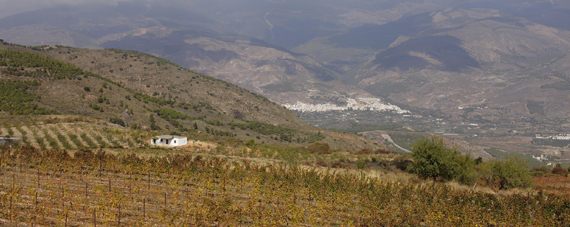 Andalusien