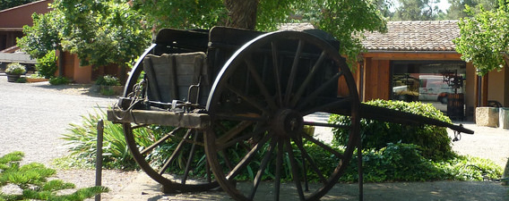 Pla de Bages