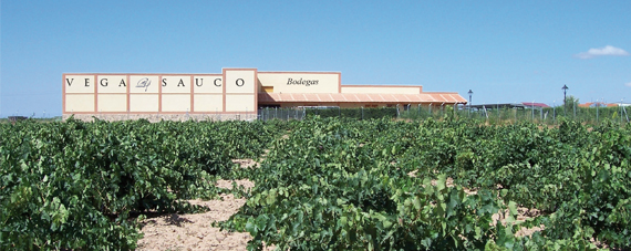 Bodega Vega Sauco