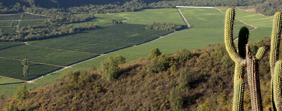 Valle Colchagua