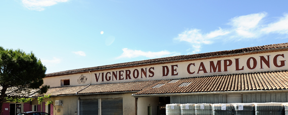 Chateau Camplong