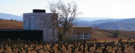 Finca Losada