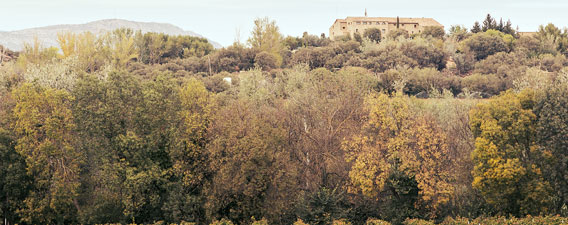 Costers del Segre
