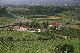 Azienda Santa Barbara