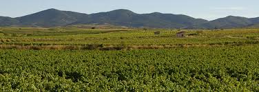 Cariñena