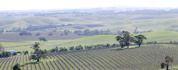 Barossa Valley