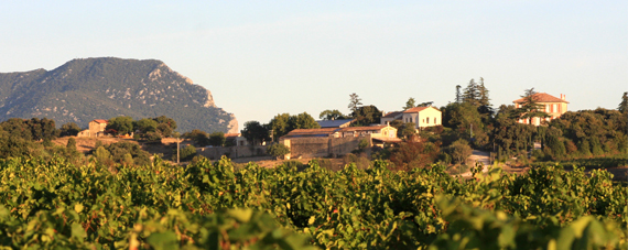 Domaine Pierre Clavel
