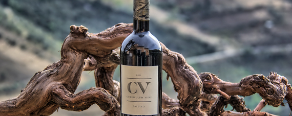 Quinta Vale D. Maria