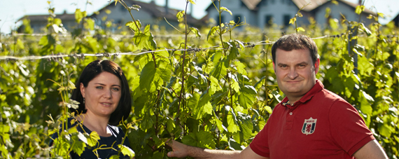 Weingut Krutzler