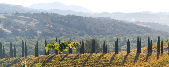 Geyers Peak Winery