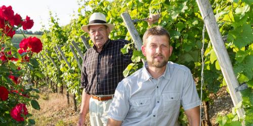 Weingut Störrlein und Krenig