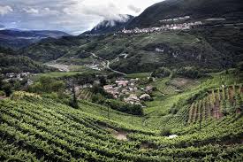 Cembra - Cantina di Montagna