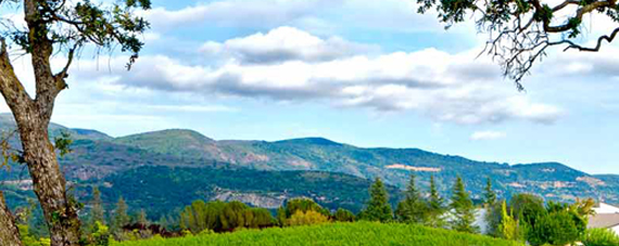 Robert Mondavi Winery