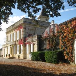 Château Tour de Castres