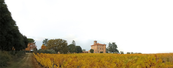 Poggio alla Sala