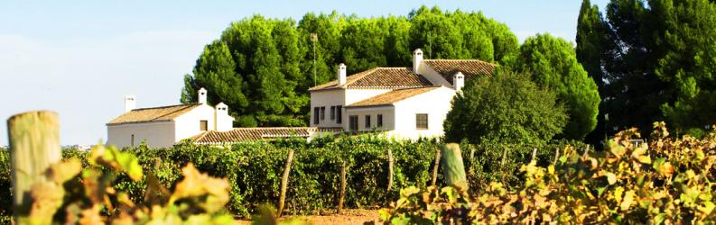 Marques de la Carrasca