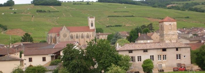 Domaine de la Cornasse