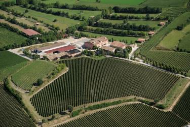 Cantine Borga S.r.l.