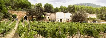 Genagricola V8 Vineyards