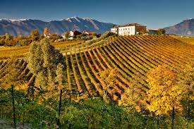 Masottina Conegliano