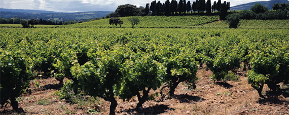 Corbieres