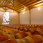 Bodegas Care