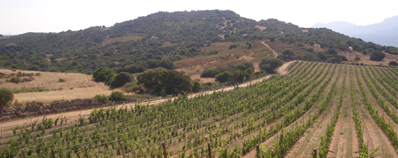Sardinien