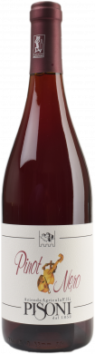 Pinot Nero Vigneti delle Dolomiti IGP BIO 2021 
