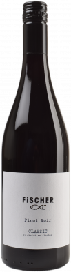 Pinot Noir Classic Burgenland 2020 