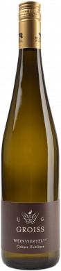 Grüner Veltliner Weinviertel Bio DAC 2024 