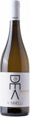 Sauvignon Lazio IGT 2024 