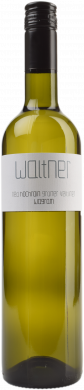 Grüner Veltliner Engelmannsbrunner Hochrain 2024 