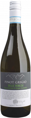 Pinot Grigio DOC delle Venezie 2024 