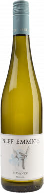 Grüner Silvaner Rheinhessen QbA 2024 