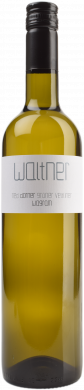 Grüner Veltliner Ried Gösinger Dorner 2024 