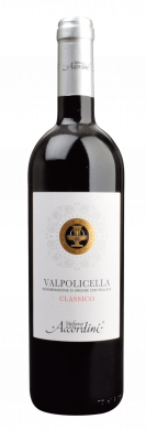 Valpolicella Classico Veneto DOC 2024 