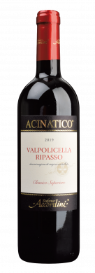 Valpolicella classico Ripasso Veneto DOC 2023 