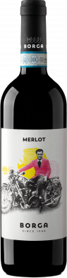Merlot DOC delle Venezie 2024 