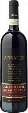 Amarone classico Acinatico Veneto DOCG 2021 