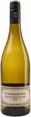 Sauvignon Blanc trocken QbA 2025 