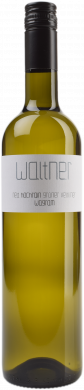 Grüner Veltliner Engelmannsbrunner Hochrain 2025 
