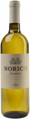 Norico Bianco Vigneti delle Dolomiti 2025 