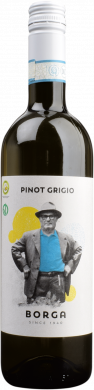 Pinot Grigio DOC delle Venezie 2024 